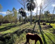 Campo Isla, en el Delta Entrerriano. Ganadero Forestal