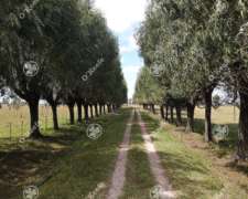 Campo en Venta de 227 Has en Ranchos. Mixto