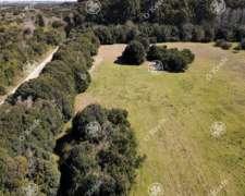 Campo en Venta 280 Has en Magdalena. Ganadero