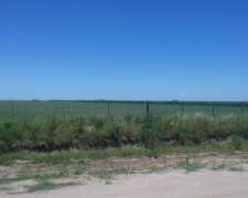 Dueño Vende Campo Agricola 44 Has