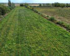 Finca en Venta / Alto Capiz 8ha