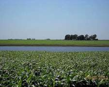 Agrícola Sobre Acuífero de Agua Dulce, Puan Prov BS AS
