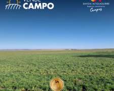Vende: Campo Agrícola/ganadero De 170 Has En General Campos.