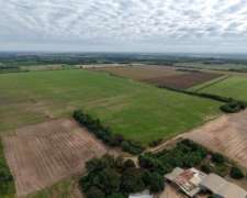 Palma Sola, Pilcomayo, Formosa - 153 Ha