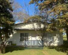 Oportunidad Campo Mixto 80 Hectáreas