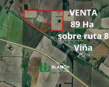 Venta Campo Pergamino - Arrecifes Sobre Ruta 8