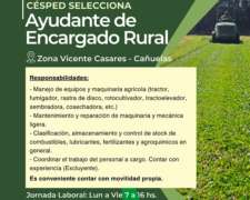 Ayudante de Encargado de Rural