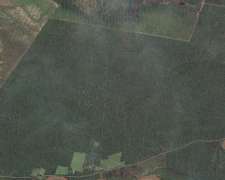 60 Hectáreas. Apto para Soja, Maíz, Trigo. Lamadrid, Tucumán