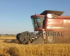 Case 2388 Extreme, 2005. 8000/1500 HS. 4x4. 30 P.