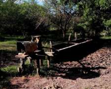 Campo Monte Lucas Norte