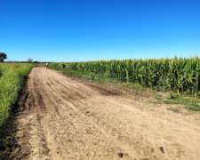 Vendo 190 Has en Coronel Bogado