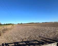 Campo 25 Hectáreas Agrícola Sobre Autopista 9