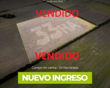 Lehmann 33 Has Agrícolas. Campo en Venta