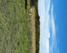 En Venta Campo Ganadero