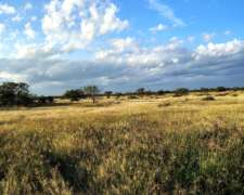 585 Ha Ganaderas en Alquiler – Santa FE