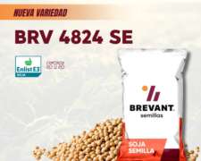 Nueva Variedad - Soja Brevant BRV 4824 SE