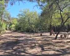 220ha en Miraflores, Chaco