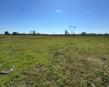 Campo Mixto De 50 Hectáreas San Nicolás