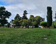 Campo Productivo de 67 Ha en Venta en Baradero Sobre Ruta
