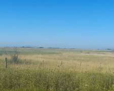 Campo Agricola 190 Ha AYA