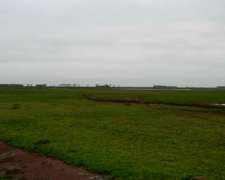 Blaquier - 198 Ha - Buenos Aires