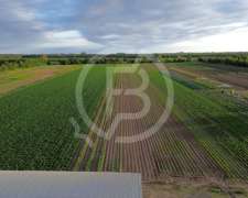 Terreno de 8 Ha en Córdoba- Zona San Carlos- Escritura