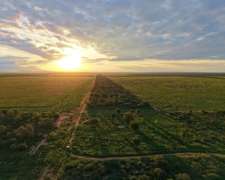 Pcia. de Salta - la Estrella 2125 Has