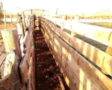 Islas Dispongo de Importantes Lotes