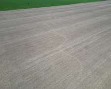Venta 55 Has Dalmacio Velez Sarsfield
