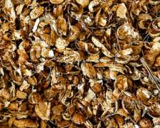 Cáscara de Maní - Lasna Insumos - MÍN 20/28 TN