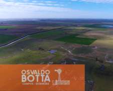 Campo Mixto 135has Juan Jose Paso