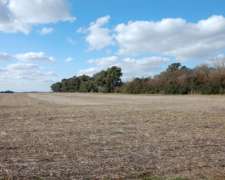 550 HA. Agrícolas en 25 de Mayo