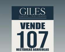 Campo Agrícola 107 Hectáreas