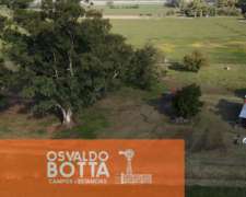 Campo Agricola en Venta 32 Has en Suipacha, Buenos Aires