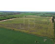 32 Has Agrícolas Lozada, Cordoba