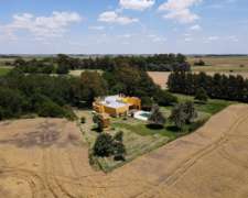 Ba3612 225 HA. Venta Brandsen Buenos Aires