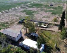 Finca en la Pega 25ha con Goteo