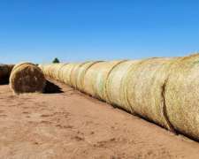 Rollos de Alfafa con Agropiro Grandes