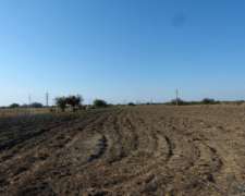 Dueño Vende Campo 22 Has. Cerca de San Fco. del Monte de ORO