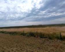 Campo Mixto Zona Necochea