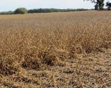 Campo 532 Ha en Santa FE. Agrícola