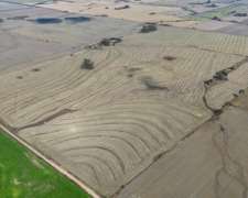 Campo Agrícola 200 Hectáreas