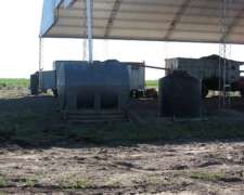 Campo en Santiago del Estero 1500 Has Malbran