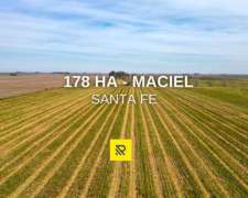 178 Ha Maciel Santa FE