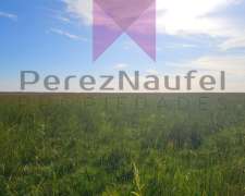 Venta Necochea 15o Ha Mixtas Sef