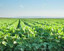 2500 Has en Pampa del Infierno Chaco