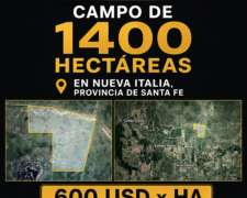 Campo de 1400 Has en Nueva Italia a Desarrollar