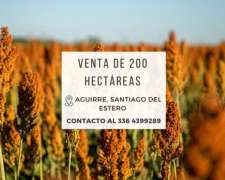 Campo de 200 Has en Aguirre (sgo. del Estero)