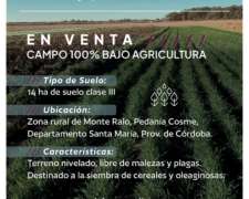 Campo Agricola Zona Monte Ralo, Córdoba
