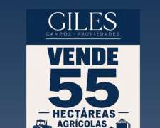Oportunidad Campo Agrícola 55 Hectáreas San Pedro
